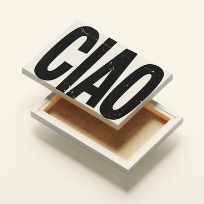 CIAO POSTER -